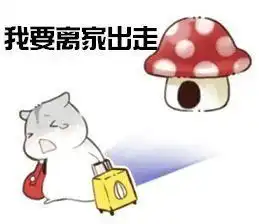 绍兴13岁男孩多次离家出走,到头来只是因为奶奶的一句话