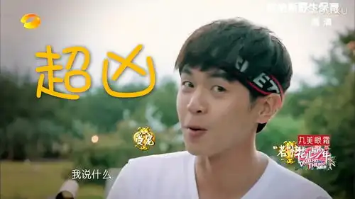 看花少截了一张张若昀的表情包