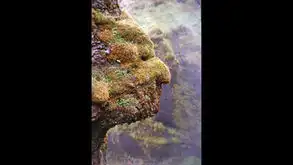 测试一个超长简介的文章