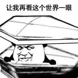 安排的明明白白搞笑gif表情分享