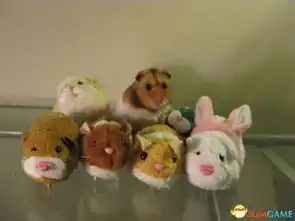 欢迎来看每日搞笑图今天看吃看动物就是不看人