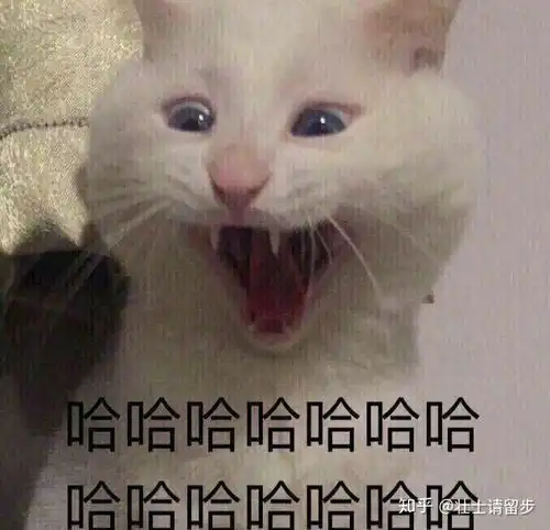 如何夸沙雕好友