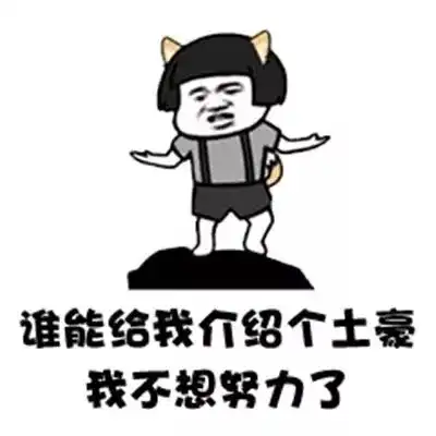 搞笑gif抖音谁有富婆介绍几个我不想努力了表情包