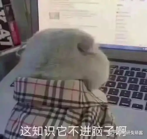 考研政治在几月份开始准备最好