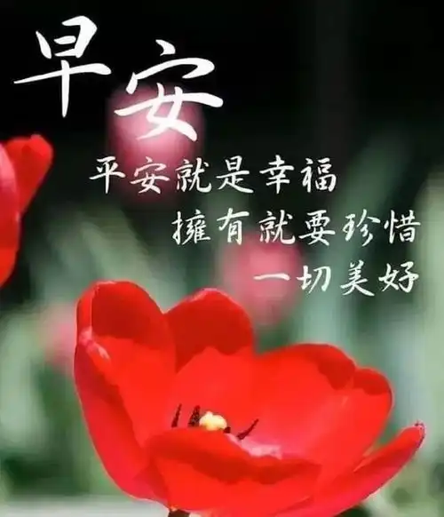 上午好寒冷天气问候语大全天气降温的关心祝福短信精选