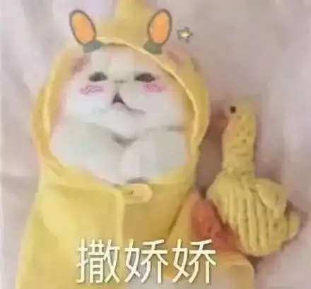 丽水一对著名男女歌手合奏,一听就有种奋不顾身的冲动