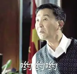 达康书记你被玩坏了,超多达康书记表情包