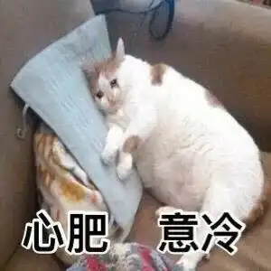 小猫咪真的会哭吗