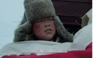 电视剧少帅演张学良的小演员叫什么名字