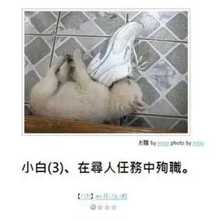 测试一个超长简介的文章
