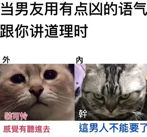 每日一笑入职第一天的我vs工作一年后的我