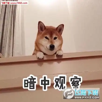 柴犬搞笑表情柴犬带字图片表情包下载飞翔下载