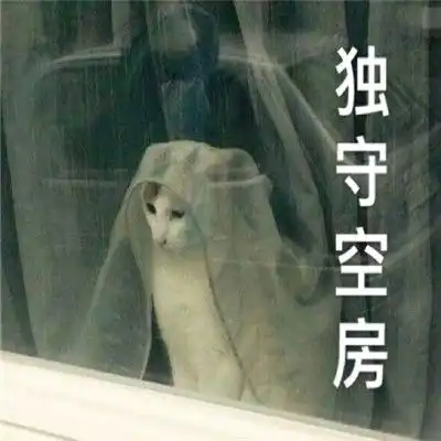 2022超级好笑的鸽子表情包你醒啦你已经被鸽了