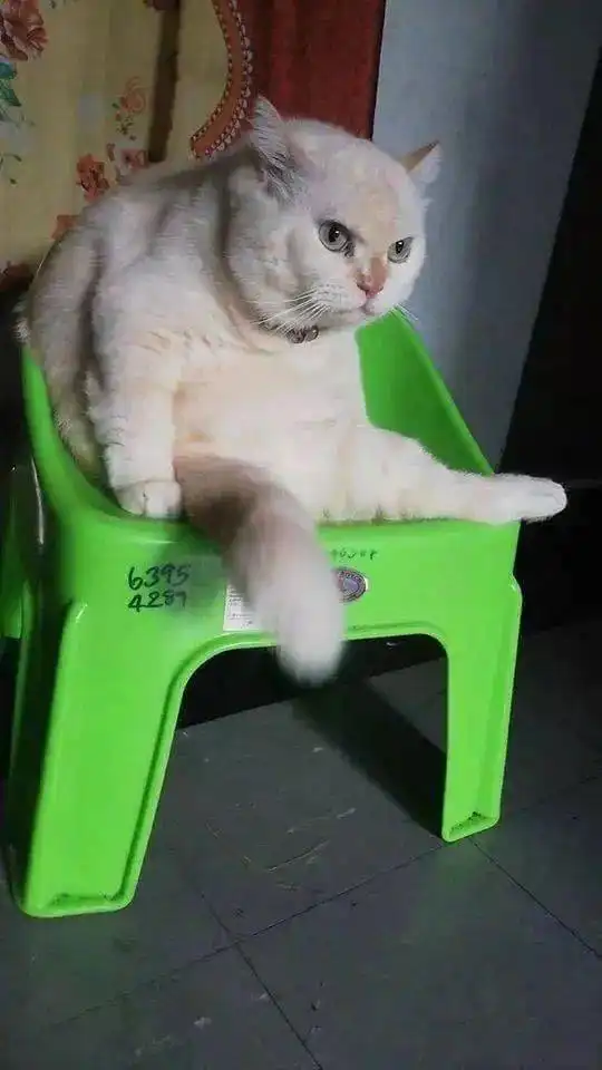 老板,你这瓜保熟吗