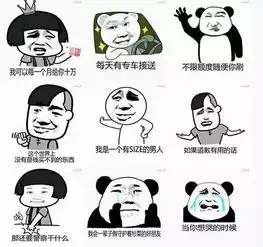 弹幕时代老剧翻红,请收好流星花园表情包合集