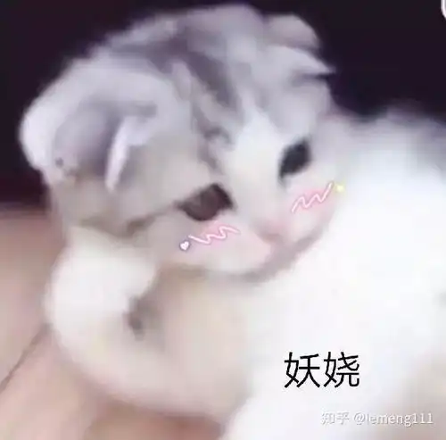 popo终于完结啦