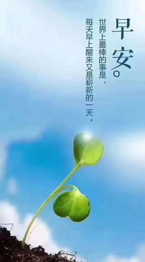 一句话正能量心灵鸡汤经典语录