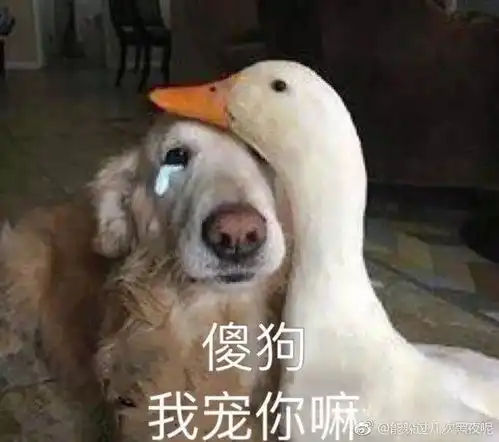注意厦门天气要大反转冷空气买一送一接下来的天气,看完想哭...