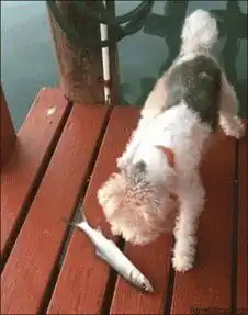 测试一个超长简介的文章