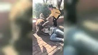 巴黎醉搞笑的个人频道