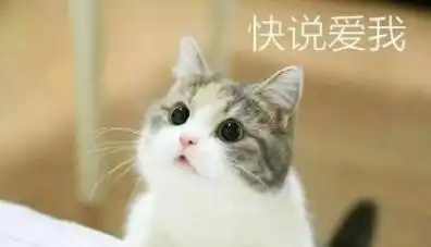 一组敲可爱的喵咪表情包