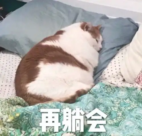 超搞笑又气人的表情包