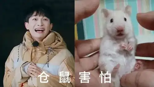 出道7年,从被淘汰到和华语乐坛顶梁柱,周深都经历了什么