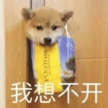 e句话看天下丨工作焦虑易上头,沈梦辰都斑秃了