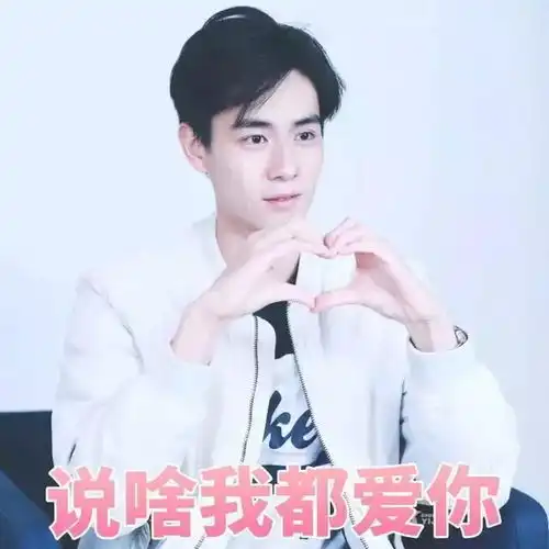 杨幂出局刘芸划界泰迪姐妹团要解散