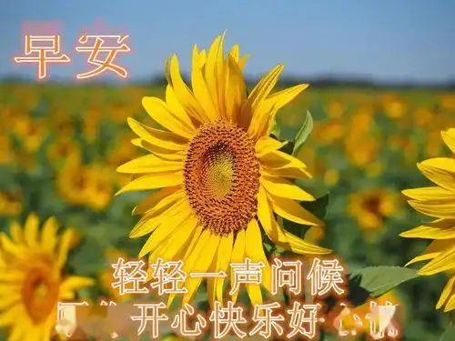 早晨发给朋友的浪漫问候句子朋友圈早晨最好看的早安图片带祝福语