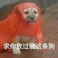 我真的是太喜欢这种沙雕表情包了沙雕头像微信头像图片大全