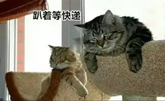 测试一个超长简介的文章