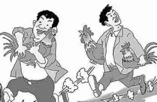 临武两男子打鱼不成改偷鸡,被拘留又罚款