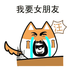养了十年的狗和交往一年的男朋友男默女泪重庆版