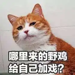 学会这仨词,我骂人再没输过
