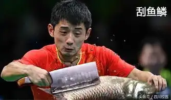 张继科做鱼表情包
