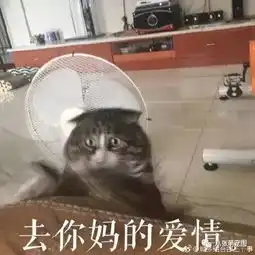 主人逗猫时拍下的照片,果然养猫后表情包都不缺了