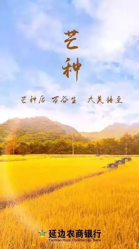 高考加油丨芒种与高考同行,播种与收获同在