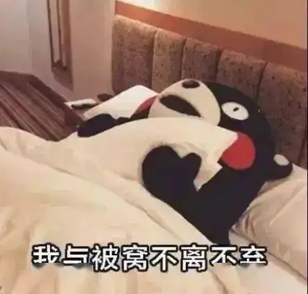 早起困难户起床啦