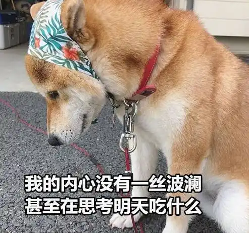 过来我跟你讲七夕情人节要怎么过才不伤身不伤心