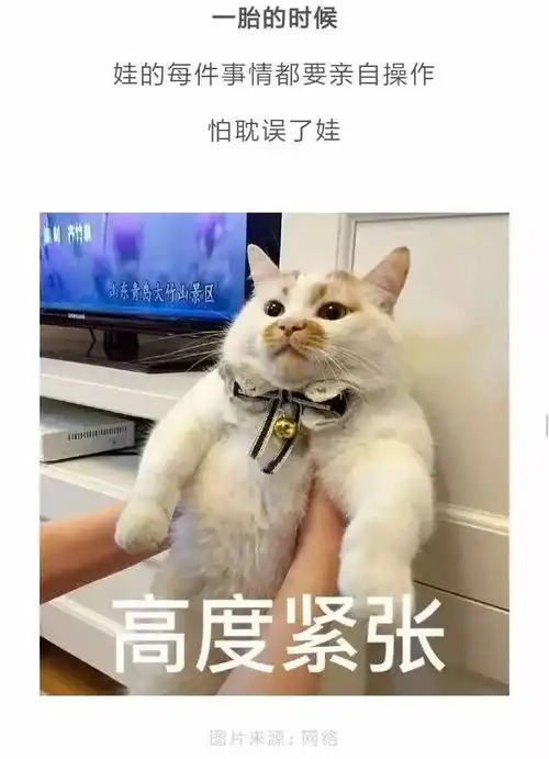 一胎照书养,二胎随便养妈妈们说出了真相