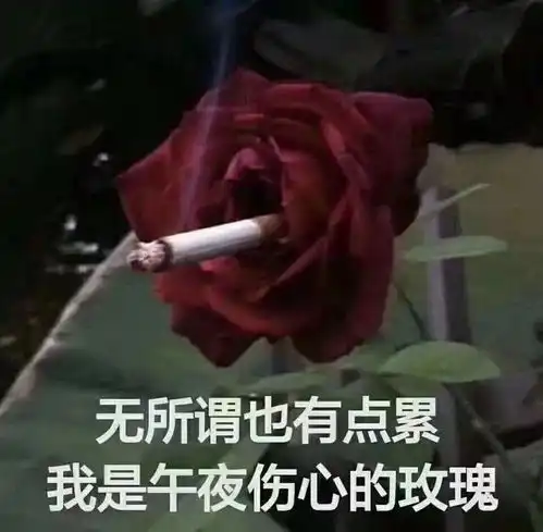 骗室友我有对象了然后她问我这个对象是不是柳梦梅
