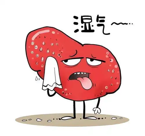 搞清下焦湿热和湿热下注的区别及调理方法,一次性讲明白