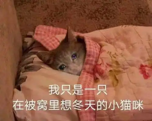 今日表情