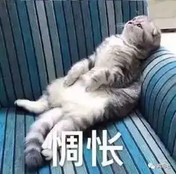 宾阳这个路口红灯绿灯一起亮,你说走还是不走