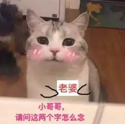 这是一条合集推文