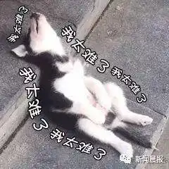 丈母娘乘公交一眼相中司机,偷递了张小纸条,成了