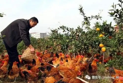 测试一个超长简介的文章