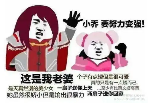 王者荣耀搞笑图片集合,这些图你都见过吗