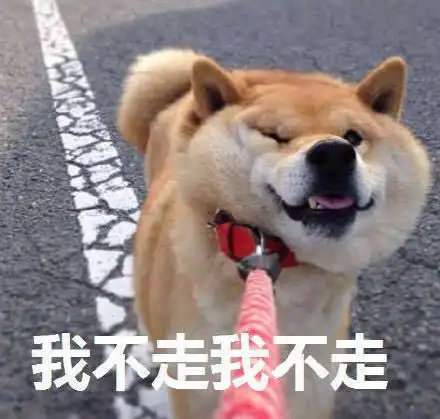 不想听表情包